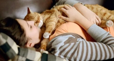 Как да преживеем смъртта на котка и да се постави: съвет на психолог